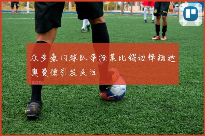 众多豪门球队争抢莱比锡边锋扬迪奥曼德引发关注